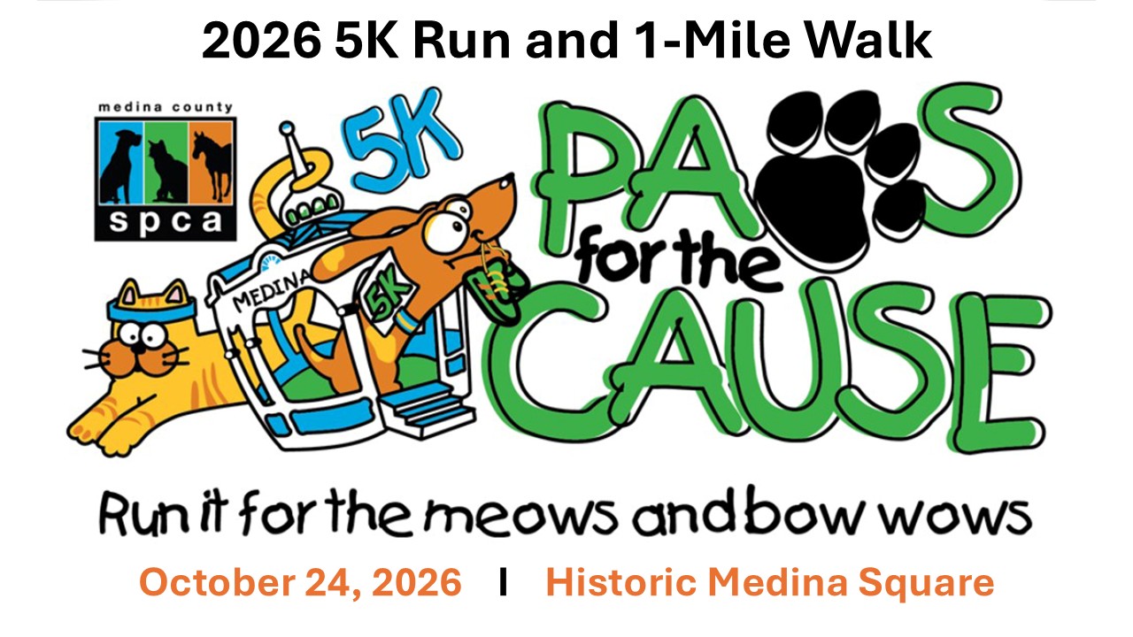 13th Annual Paws for the Cause 5k Run and 1-Mile Walk